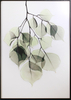 Cinco conjuntos de pinturas, arte chino de hoja verde, tallado, pintura colgante de vidrio de fusión